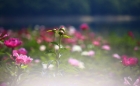프로필 사진